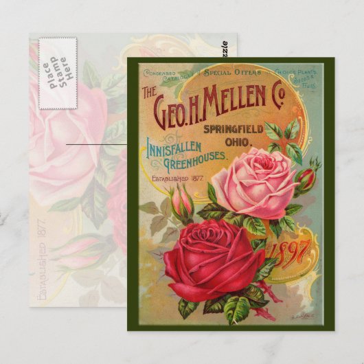 バラカタログ ポストカード (正面/裏面)