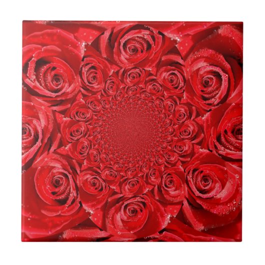 バラカラーの世界:フローラファンタジー タイル (正面)