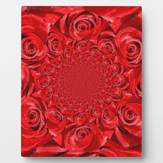 バラカラーの世界:フローラファンタジー フォトプラーク (正面)