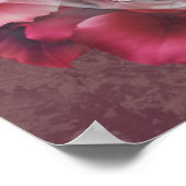 バラカラー美しいポスター ポスター (角)