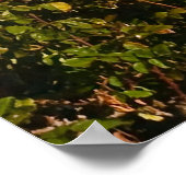 バラガーデンとバラボウルサインオンスタジアム ポスター (角)