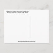 バラガーデン&ピーコックファウンテンウィンターパークフロリダ ポストカード (裏面)