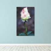 バラキャンバスのラップ キャンバスプリント (インサイチュ (ウッドフロア))