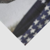 バラクオバマ米大統領ホワイトハウスポートレート 薄葉紙 (詳細)