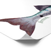 バラクーダのフィッシュポスター ポスター (角)