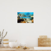 バラクーダのポスター ポスター (キッチン)