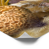 バラクーダスオーバーコーラルリーフ ポスター (角)