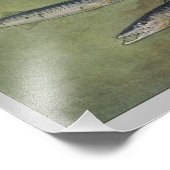 バラクーダヴィンテージフィッシュプリント フォトプリント            (角)