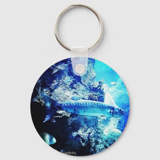 バラクーダ キーホルダー (正面)