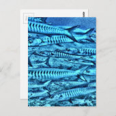 バラクーダ ポストカード (正面/裏面)