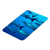 バラクーダ マグネット (左側)