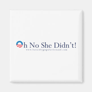 バラク小浜一次磁石 マグネット