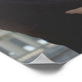 バラク小浜 ポスター (角)