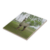 バラグレーアルパカタイル タイル (側面)