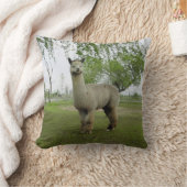バラグレーアルパカ クッション (ブランケット)