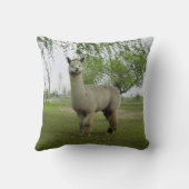 バラグレーアルパカ クッション (裏面)