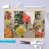 バラコラージジョセフズコート – ティッシュラップ紙 薄葉紙 (クラフト)