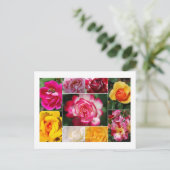 バラコラージュ葉書 ポストカード (スタンド正面)