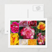 バラコラージュ葉書 ポストカード (正面/裏面)