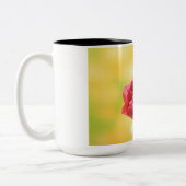 バラコーヒーマグ ツートーンマグカップ (左)