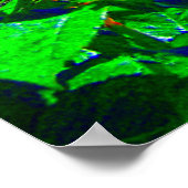 バラサイケデリックガーデン ポスター (角)