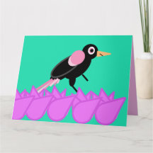 バラザブラックバード