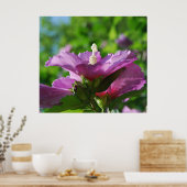 バラシャロン花 ポスター (キッチン)