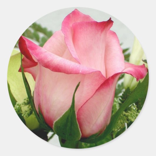 バラシール ラウンドシール (正面)