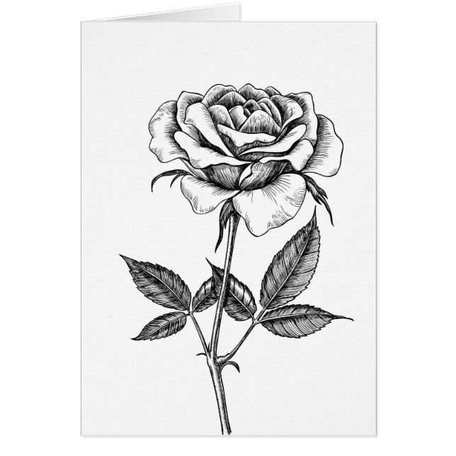 バラスケッチ (正面)