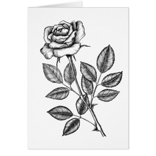 バラスケッチ2 (正面)