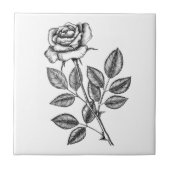 バラスケッチ2 タイル (正面)