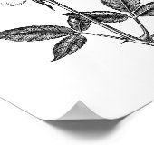 バラスケッチ ポスター (角)