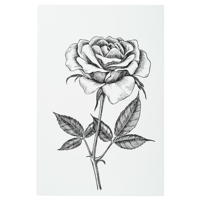 バラスケッチ メタルプリント (正面)