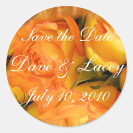 バラステッカスタマイズク – 使用 ラウンドシール