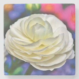 バラストーンコースター ストーンコースター