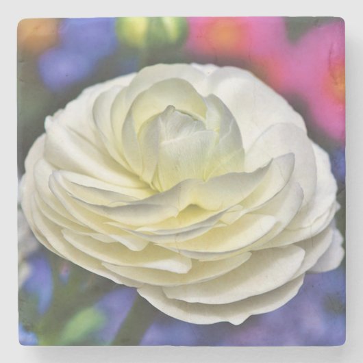 バラストーンコースター ストーンコースター (正面)