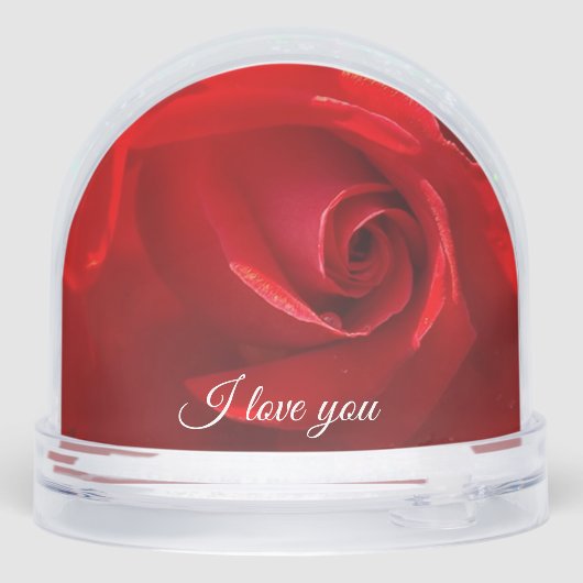 バラスノーグローブ (裏面)