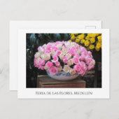 バラズアットメデリンのフェリアデラス シーズンポストカード (正面/裏面)