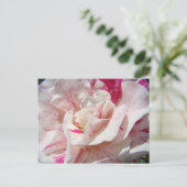 バラズピンクの白いバラの花1枚のカードギフトマグ ポストカード (スタンド正面)