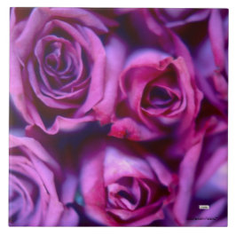 バラセラミックタイル タイル