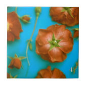 バラセラミックタイル タイル (正面)