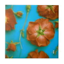 バラセラミックタイル