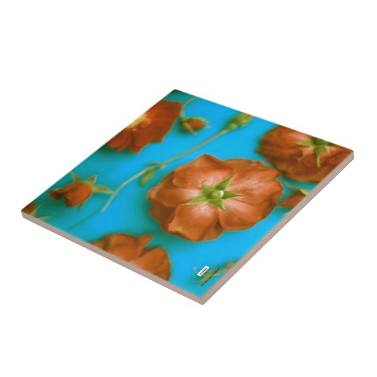 バラセラミックタイル タイル (側面)