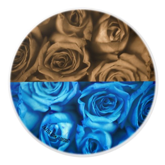 バラセラミックプル セラミックノブ (正面)