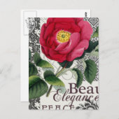 バラダマスクかわいらしフローラアンティーク ポストカード (正面/裏面)