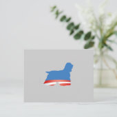 バラッカースパニエル犬 ポストカード (スタンド正面)