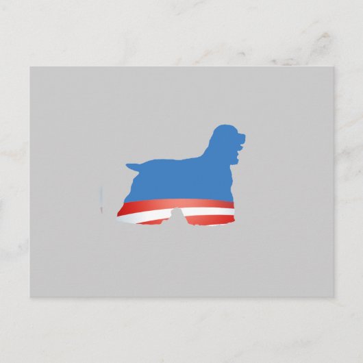 バラッカースパニエル犬 ポストカード (正面)