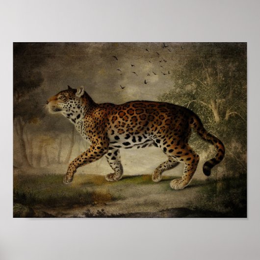 バラツリーから借用 ポスター (正面)