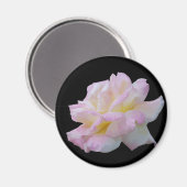 バラデジタルスケッチ マグネット (正面/裏面)