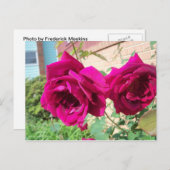 バラデュオ ポストカード (正面/裏面)